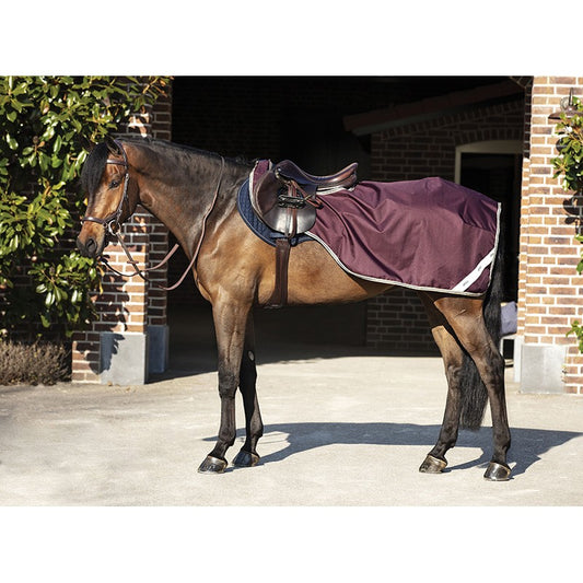 HORSEWARE - Couvre-reins  Amigo Ripstop Competition Sheet Prune