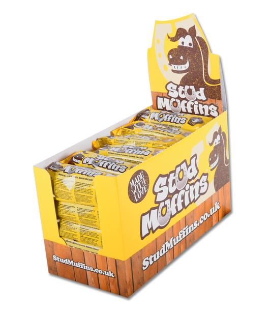 STUD MUFFINS - Lot de 3 Muffins